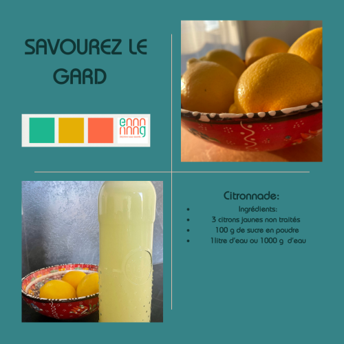 La citronnade proposée par Delphine du blog l'effet Gard